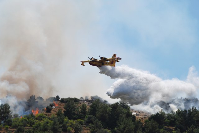 Ilustracija; Foto: chiosphotographer/Shutterstock