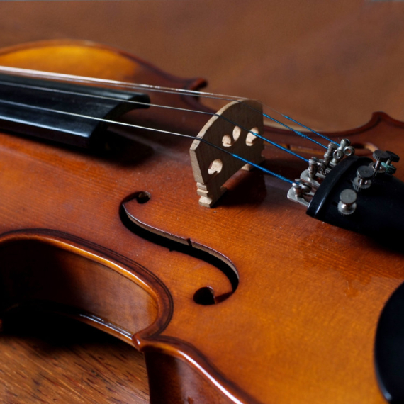 Da li je ovo NAJMANJA VIOLINA NA SVETU? Široka je poput jedne LJUDSKE DLAKE, a evo i kako izgleda (FOTO)