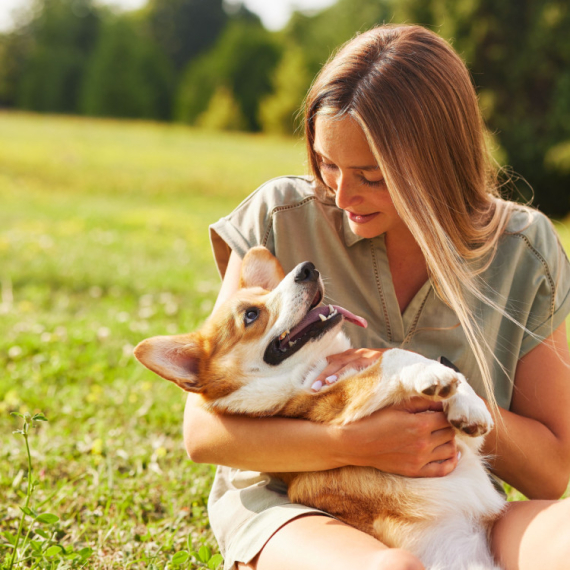 Od čivave do labradora: Kako pronaći psa koji odgovara vašem stilu života