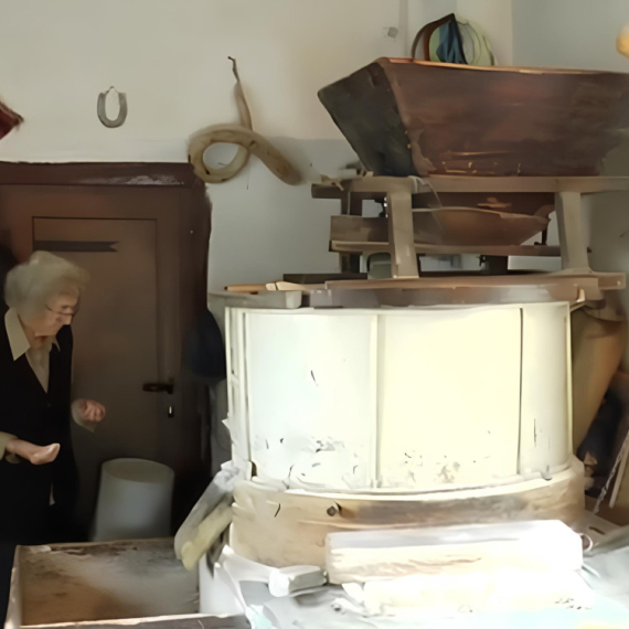 Zajedno sa bratom čuva TRADICIJU! Radiolog Petrović vodi računa o VODENICI staroj više od 100 godina (VIDEO)