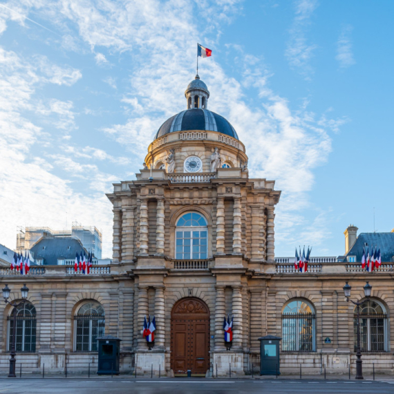 Pala francuska vlada