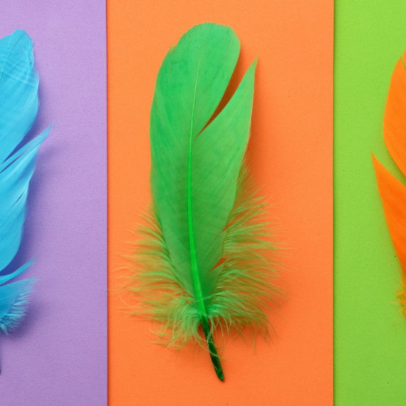 Izaberite samo jedno pero i SAZNAJTE PO ČEMU STE JEDINSTVENI! (FOTO)