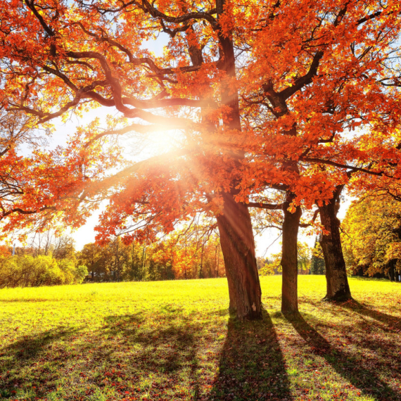 Danas počinje JESEN, a evo i u KOLIKO tačno sati