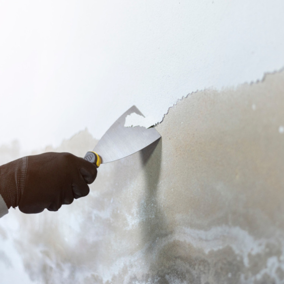 Isekli su deo zida i ostali u ŠOKU! Vlasnik je rekao da se nisu UNUTRA nalazile dugo vremena, međutim... (VIDEO)