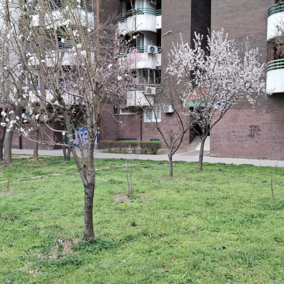 Javno-privatna partnerstva: Ključ za unapređenje infrastrukture i kvaliteta usluga