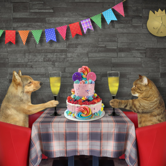 Kućni ljubimac vam je pod stresom? Postoji rešenje - bezalkoholno vino za pse i mačke!