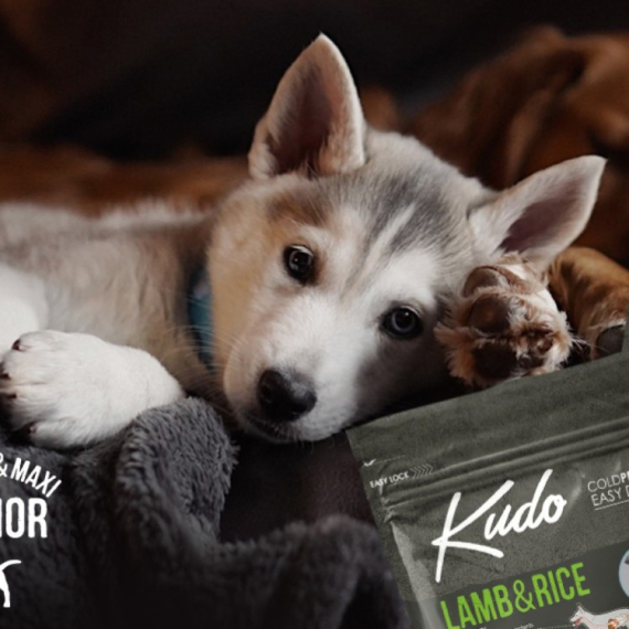 Kudo granule – hladno presovana hrana za zdrave pse