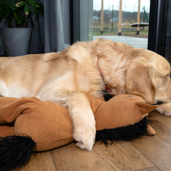 DA LI STE VIDELI SLAĐEG "PRESTUPNIKA"? Pas je zaspao sa igračkom, a šta je njegov brat uradio, ostaviće vas bez teksta! (VIDEO)