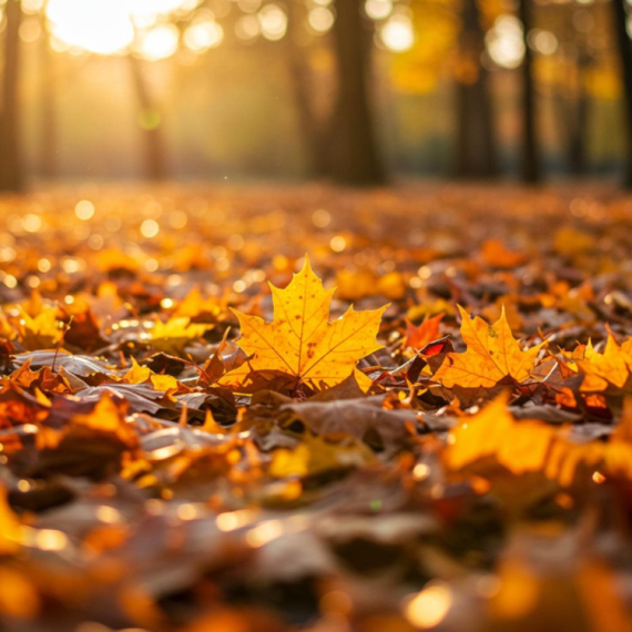 Jutro u Srbiji hladno sa slabim mrazem i maglom, a tokom dana...
