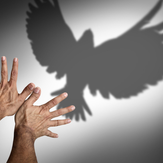 Da li ste BRIŽNI ili DOMINANTNI? Ili možda u MUŠKOJ ENERGIJI? Šta prvo ugledate na slici, daće vam ODGOVORE koje ste dugo tražili