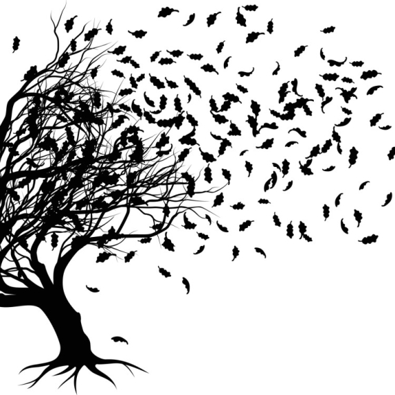 POSESIVNI, ODGOVORNI, MAŠTOVITI... Ono šta PRVO ugledate na slici otkriva mnogo toga o vama