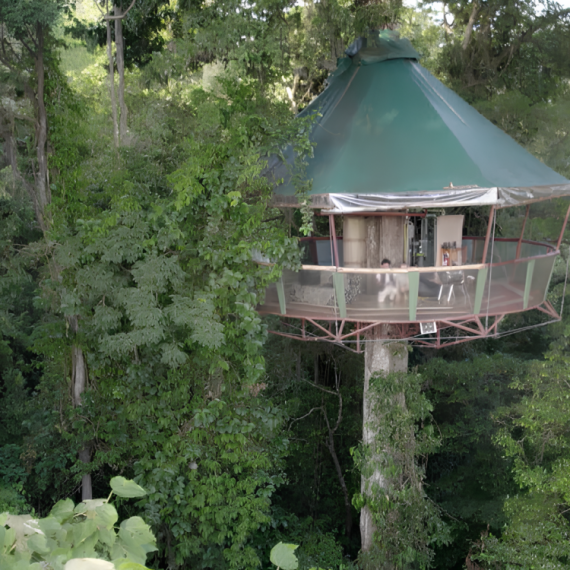 Galileo - Subota, 15. novembar - Upoznajte Tarzana modernog doba