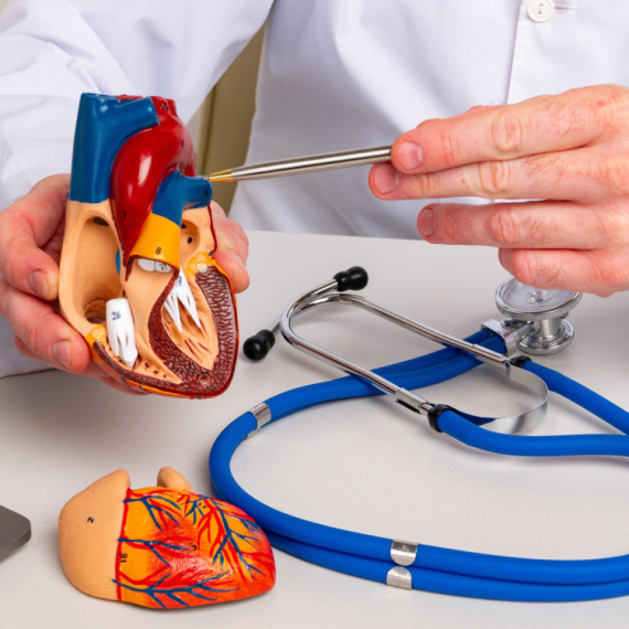 HDL: Ključ za zdravo srce - Kako podići "dobar" holesterol