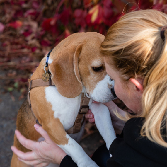 Ovo je 10 znakova da pas pokušava da vam se izvini: Važno je da znate kako pravilno da reagujete