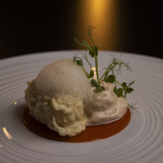 Recept za SARMU po recepturi sudije Ljubice Komlenić