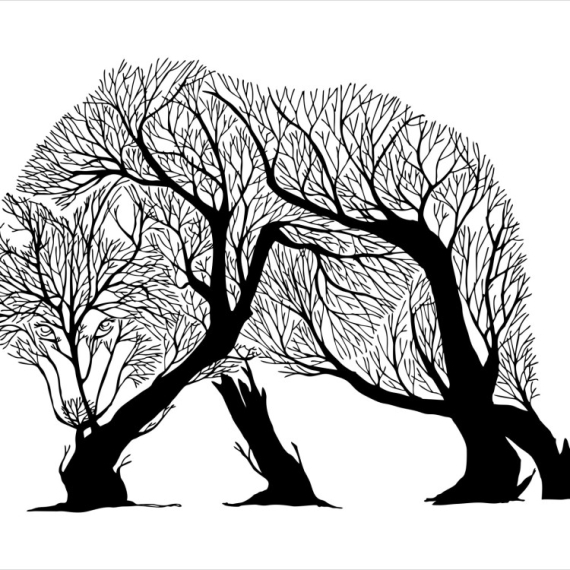 Ono što prvo ugledate na optičkoj iluziji otkriva da li ste snažna ili osećajna osoba (FOTO)