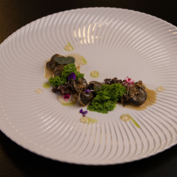 Sanjini puževi u belom vinu – harmonija i remek-delo na tanjiru!