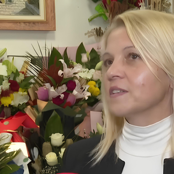 Počeo je PERIOD SLAVA, a bliže se i NOVOGODIŠNJI PRAZNICI! Evo KOJE CVEĆE je prikladno za poklon (VIDEO)