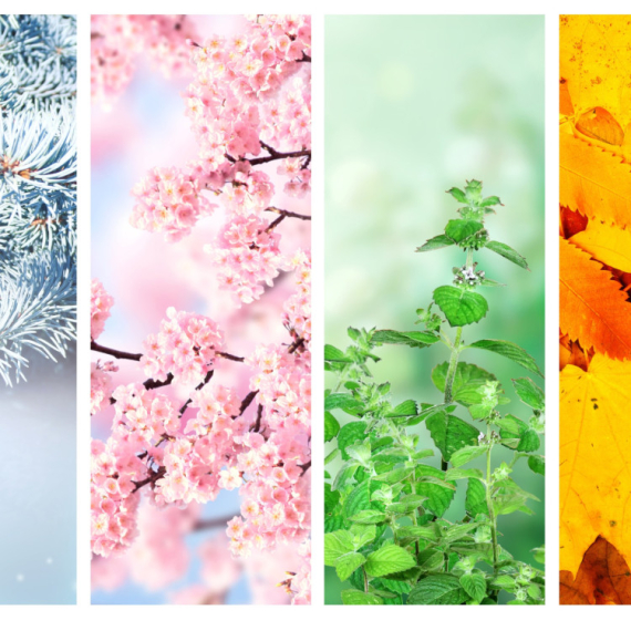 Evo šta vaše omiljeno GODIŠNJE DOBA govori o vašoj ličnosti!