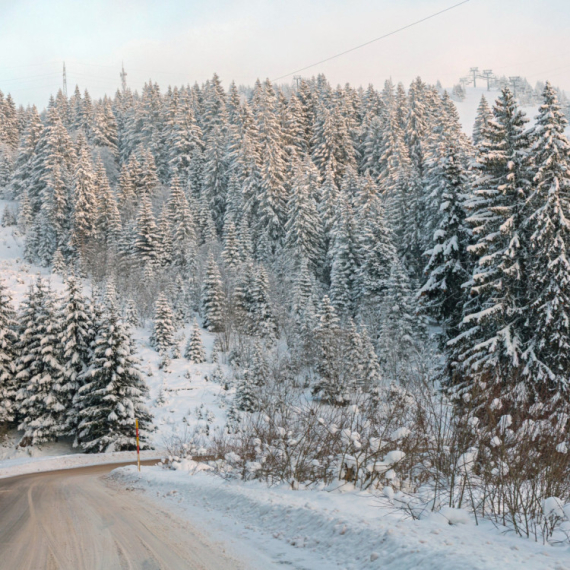 Sneg već veje u ovim delovima Srbije; Pašće skoro pola metra