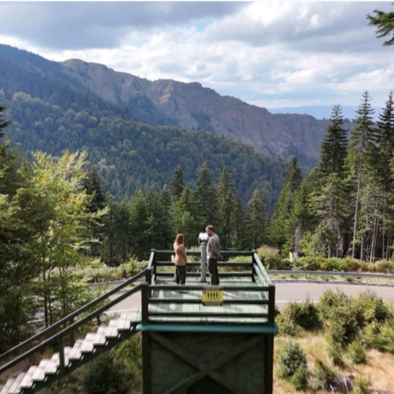 EXploziv - Nedelja, 28. decembar - Bukove šume