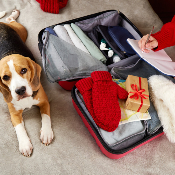 Pitanja koja su putnici najčešće guglali u 2025. godini