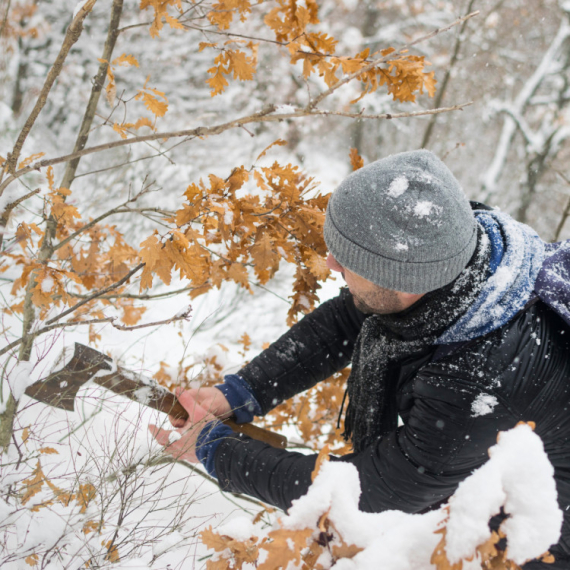 SPC danas slavi Badnji dan koji najavljuje proslavu Božića, a po narodnom verovanju badnjak se seče baš na OVAJ način!