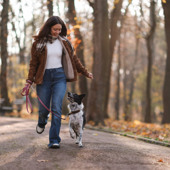 Više je od obične navike: Izvođenje psa u šetnju je obavezno, ali evo koliko puta dnevno je zapravo dovoljno