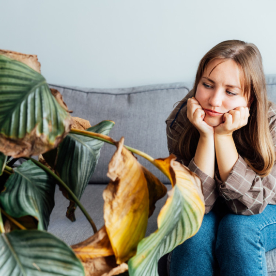 Trik kojim ćete OPORAVITI vašu oronulu biljku: Potrebna vam je samo JEDNA STVAR koju sigurno imate kod kuće
