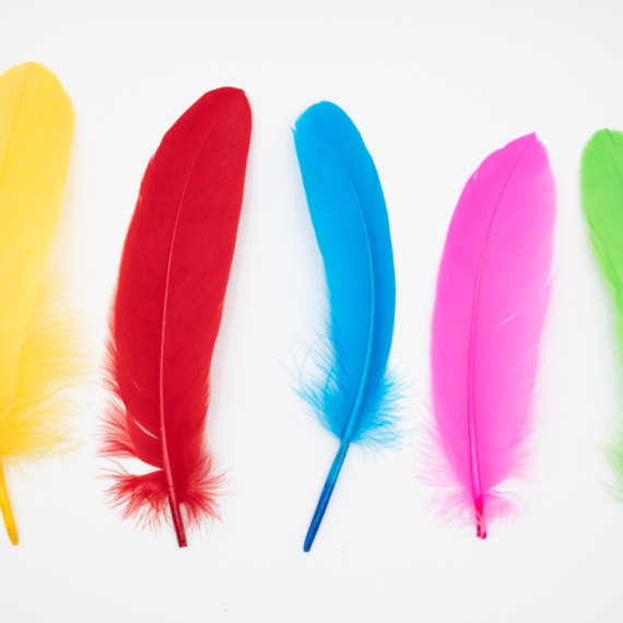 Izabarite pero i SAZNAJTE PO ČEMU STE JEDINSTVENI: Evo šta to sve govori o vama