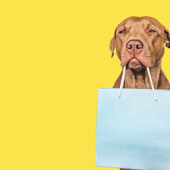 Izdresirao psa da umesto njega počini KAŽNJIVO DELO - kamera sve snimila (VIDEO)