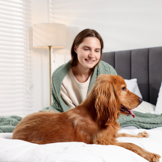 Večito pitanje: Da li psi treba da se PENJU NA KREVET? Dreser daje VAŽAN SAVET (VIDEO)