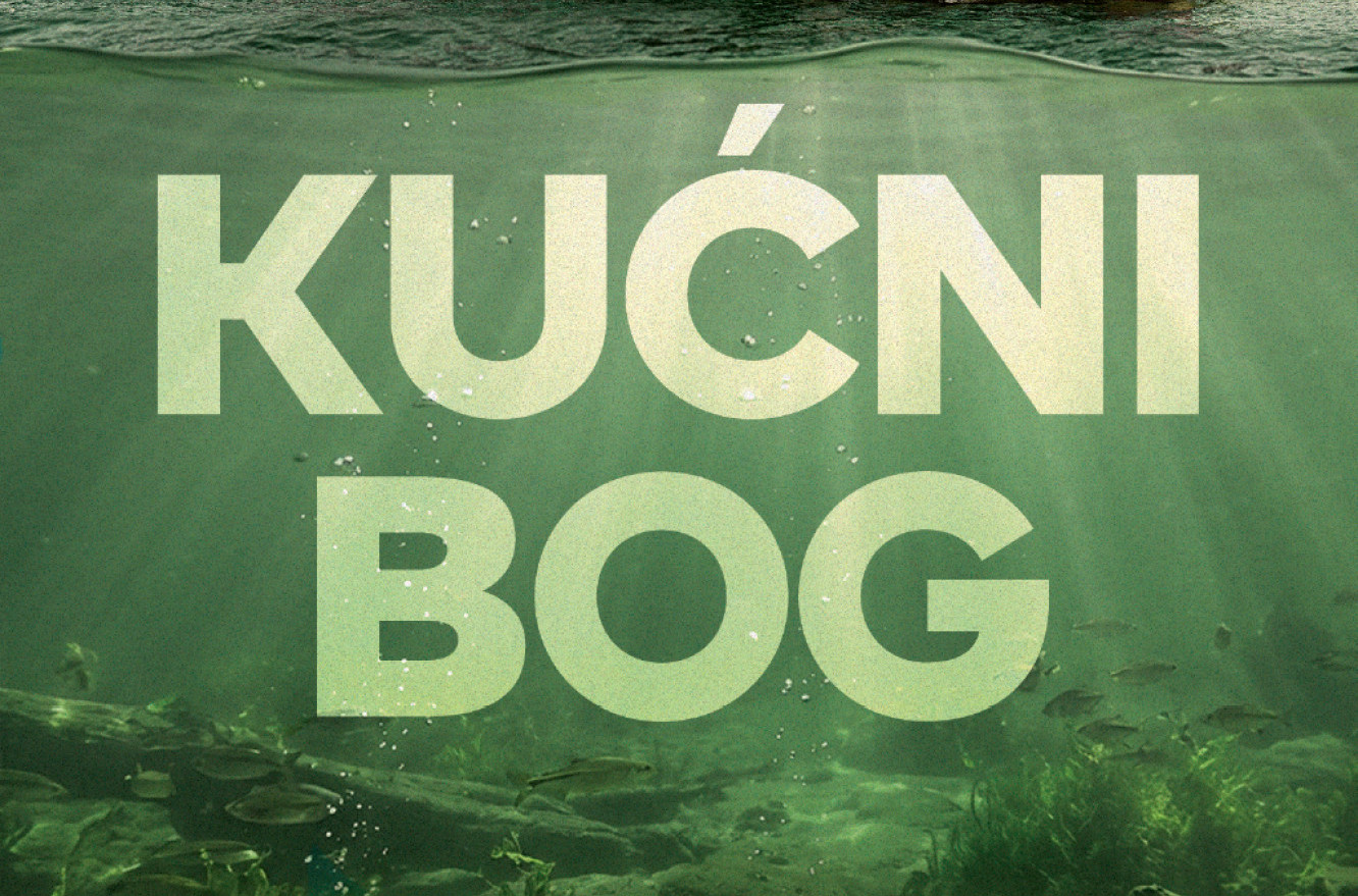 Dirljiva priča o pukotinama unutar porodice: Roman „Kućni bog“ Rejčel Džojs u knjižarama