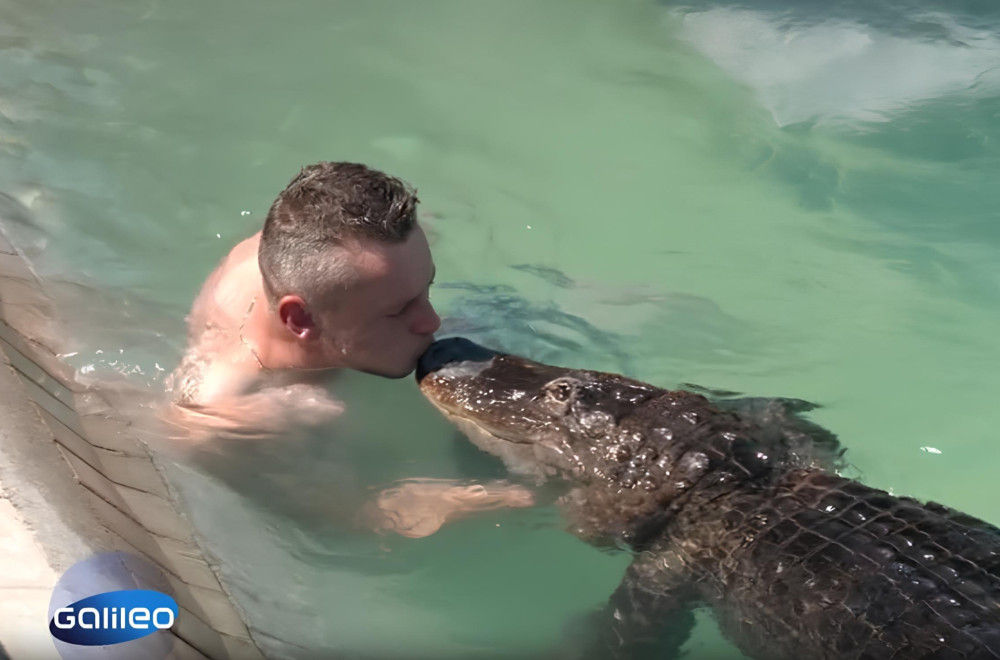 Galileo - Nedelja, 8. mart - Porodica već više od 40 godina živi sa aligatorom kao kućnim ljubimcem