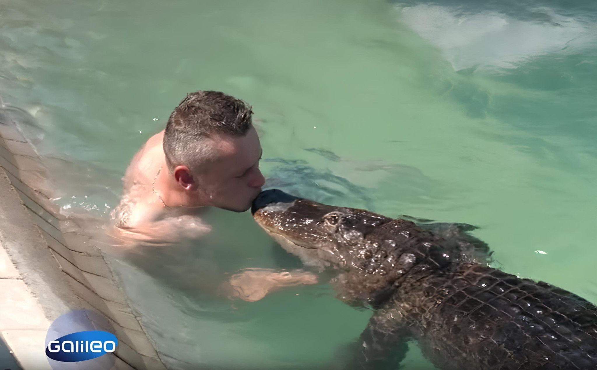 Galileo - Nedelja, 8. mart - Porodica već više od 40 godina živi sa aligatorom kao kućnim ljubimcem