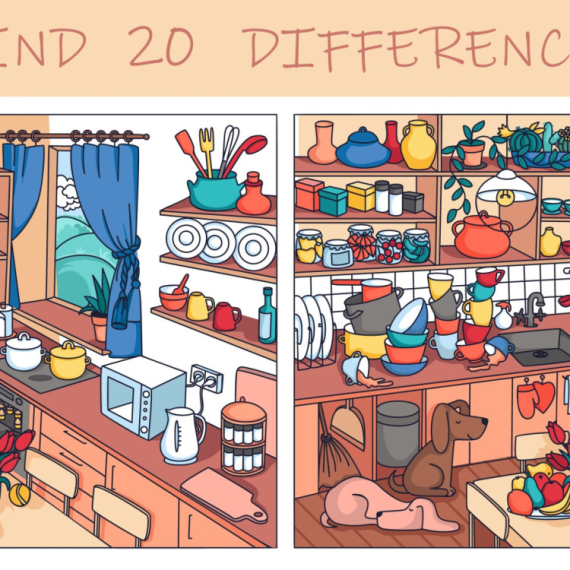 Možete li da pronađete svih 20 RAZLIKA NA SLICI? (FOTO)