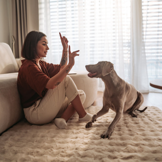 Trener za pse otkrio kojih pet tipova ljudi zapravo ne bi trebalo da ima ljubimca