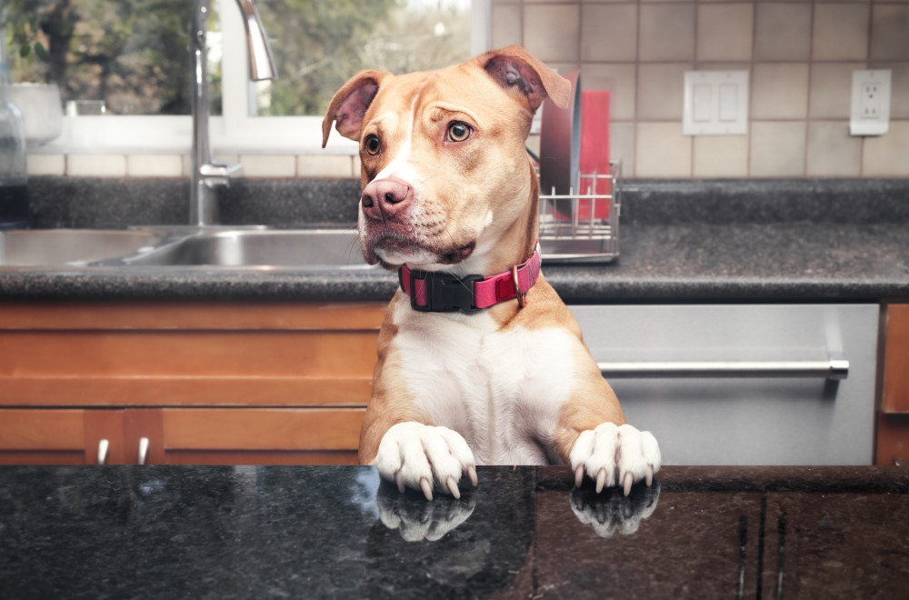 Ova četiri mirisa PSI ne mogu da PODNESU