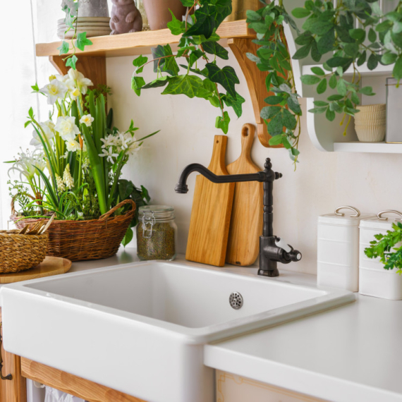 Ove biljke bi trebalo da imate u svojoj kuhinji - a evo i zašto