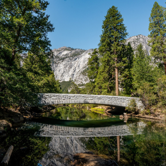 Šta ste prvo ugledali na slici? Odgovor otkriva ŠTA vas čeka u narednom periodu