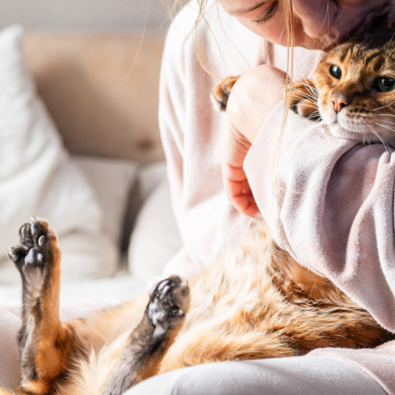 PET najvećih zabluda o MAČKAMA koje nemaju veze sa istinom