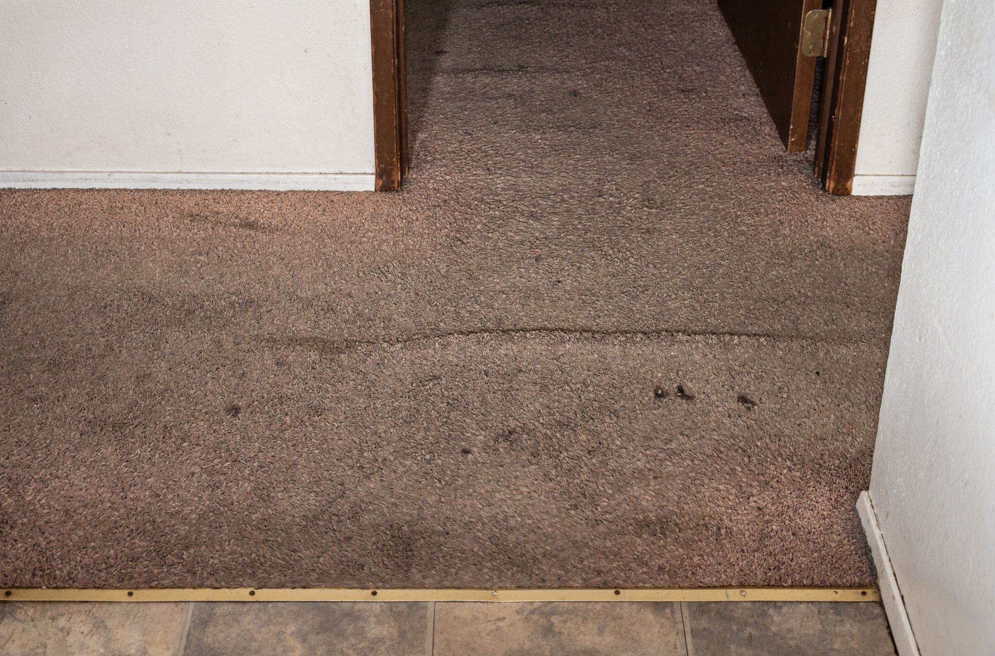 Rešila je da ukloni stari tepih, a ispod njega nje zatekla pravo IZNENAĐENJE! (VIDEO)