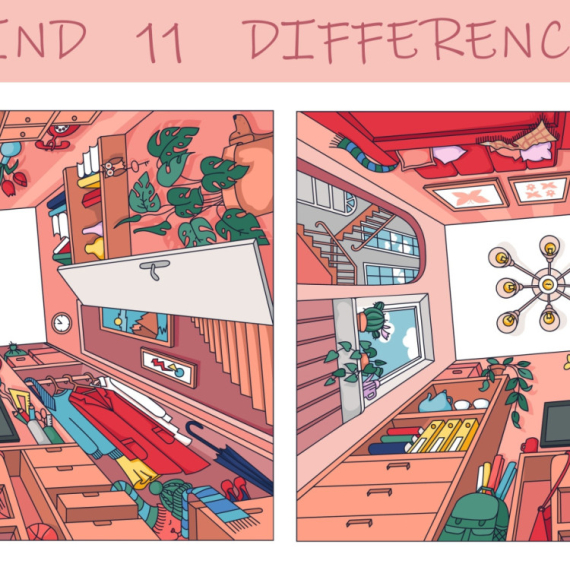 Za koje vreme možete da pronađete sve RAZLIKE na slici?