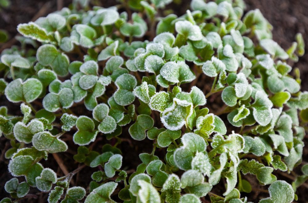 Sledi promena vremena: Temperature idu u minus