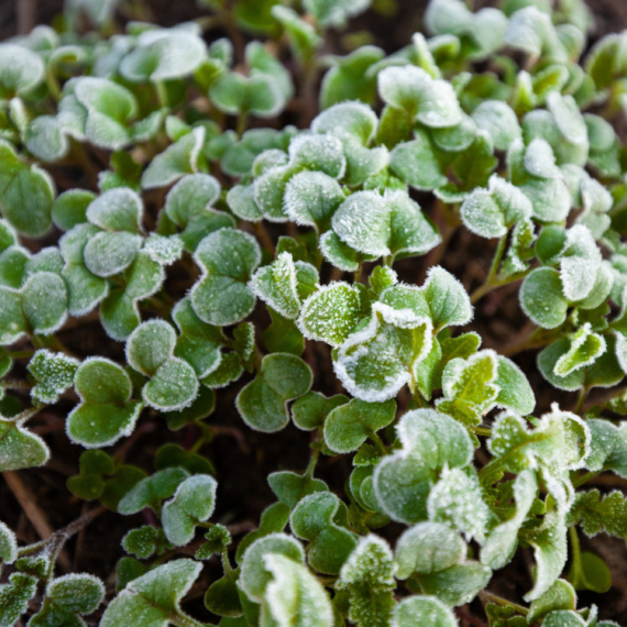 Sledi promena vremena: Temperature idu u minus