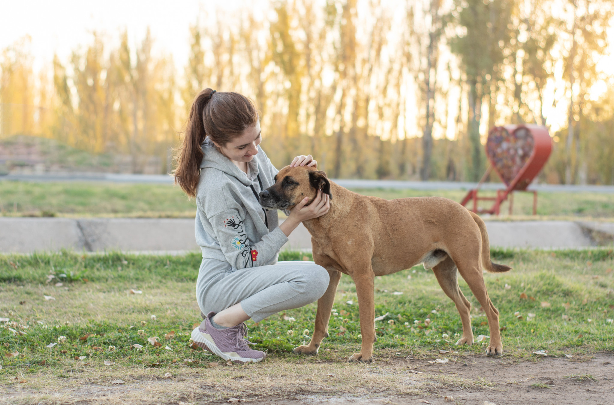 "Mama me je nazvala u suzama i samo rekla 'Pronašli su ga'"! Ukrali ju joj psa pre čak 7 GODINA, a onda se desilo nezamislivo!