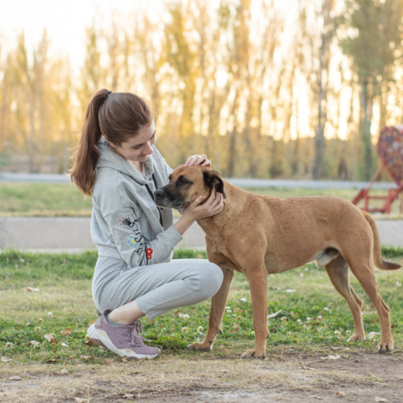 "Mama me je nazvala u suzama i samo rekla 'Pronašli su ga'"! Ukrali ju joj psa pre čak 7 GODINA, a onda se desilo nezamislivo!
