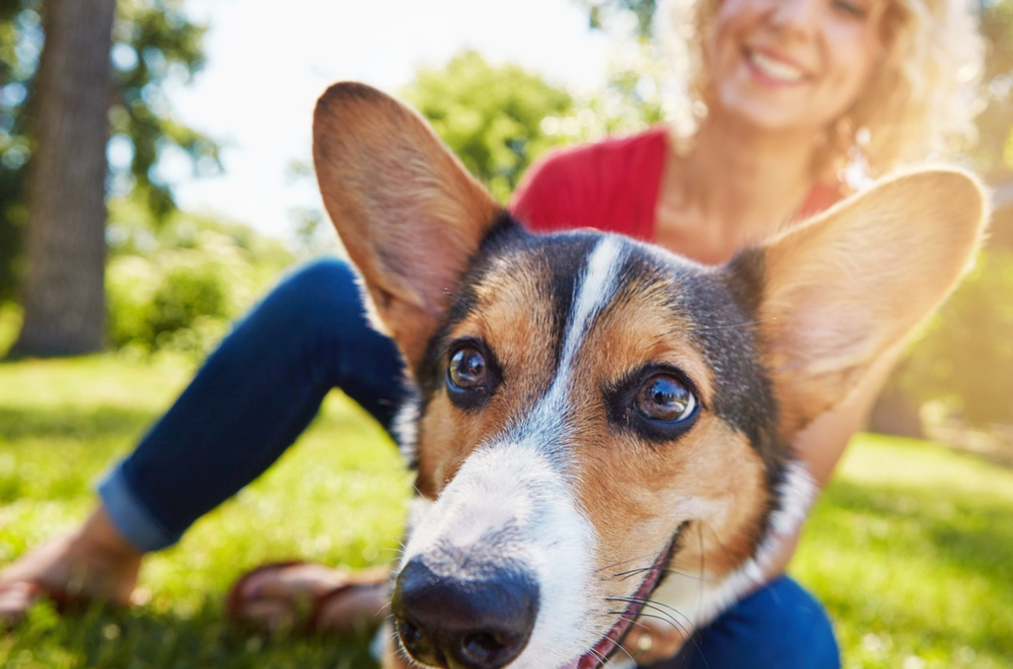 Ovih šest ponašanja pasa imaju skrivena značenja: „Najpošteniji član vaše porodice pokušava ovo da vam kaže“