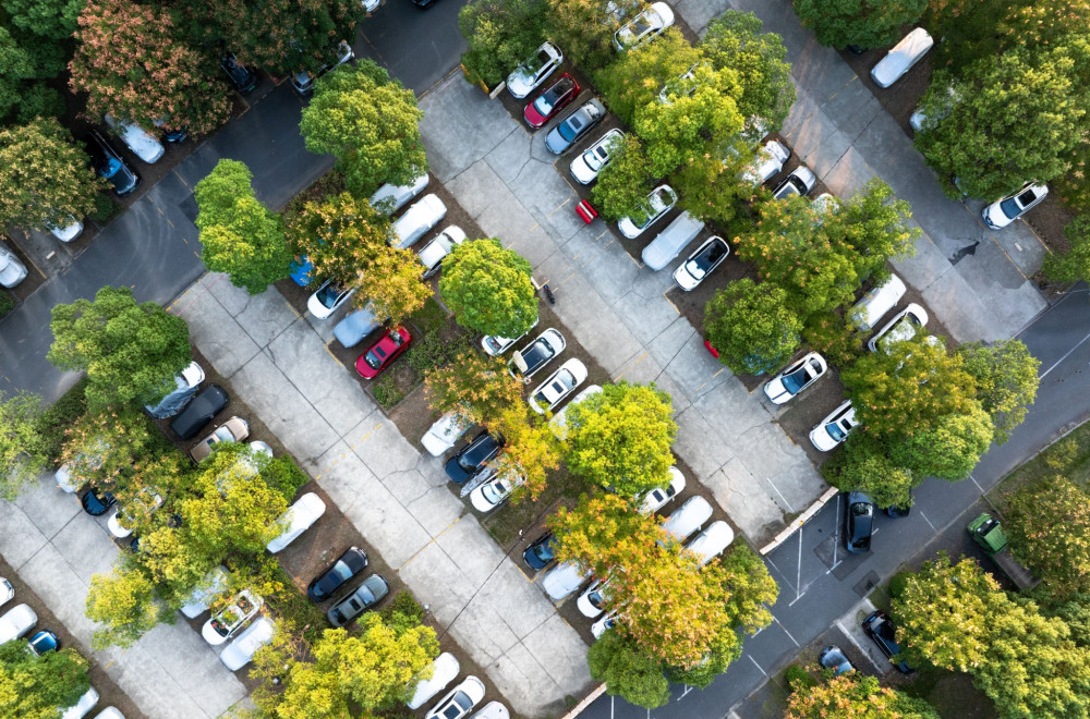 Zašto nikada ne bi trebalo da PARKIRATE auto ISPOD DRVETA, posebno U PROLEĆE? Jeste hladovina, ali...