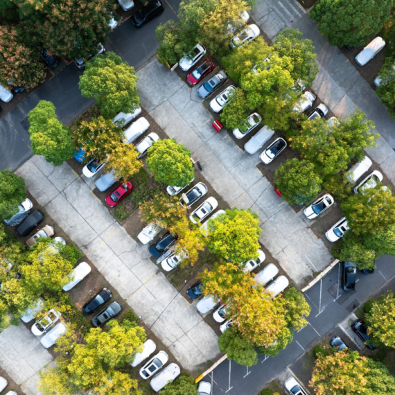 Zašto nikada ne bi trebalo da PARKIRATE auto ISPOD DRVETA, posebno U PROLEĆE? Jeste hladovina, ali...